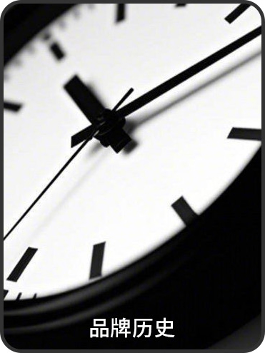 品牌历史