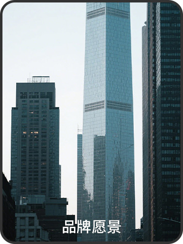品牌愿景